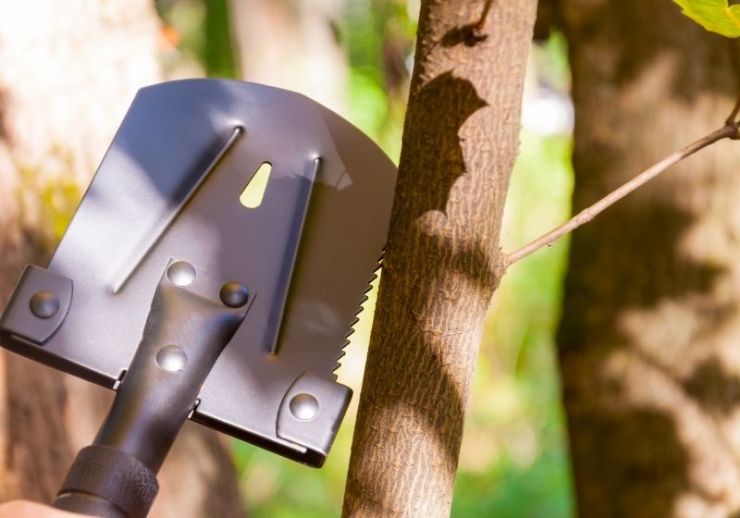 Découvrez les 5 meilleures pelles de survie en camping sur https://survivallife.com/survival-shovel/