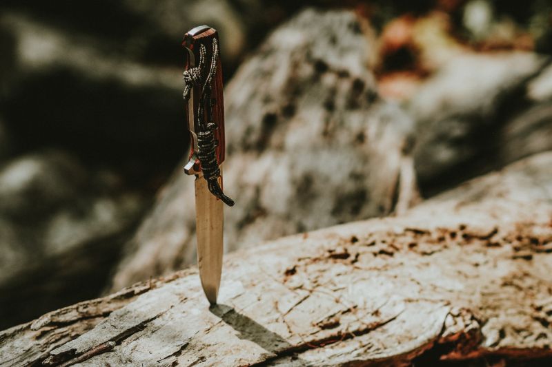 couteau en acier gris Survival Training