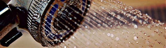 pommeau de douche