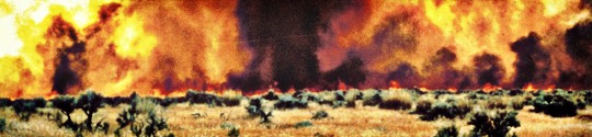 feu de forêt