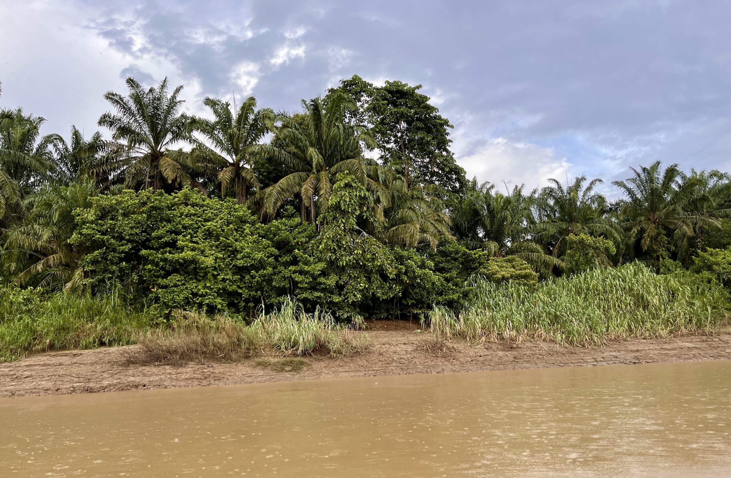 Berges de la rivière