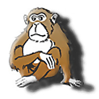 Forums de Survival Monkey
