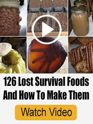 Vidéo sur les super aliments perdus