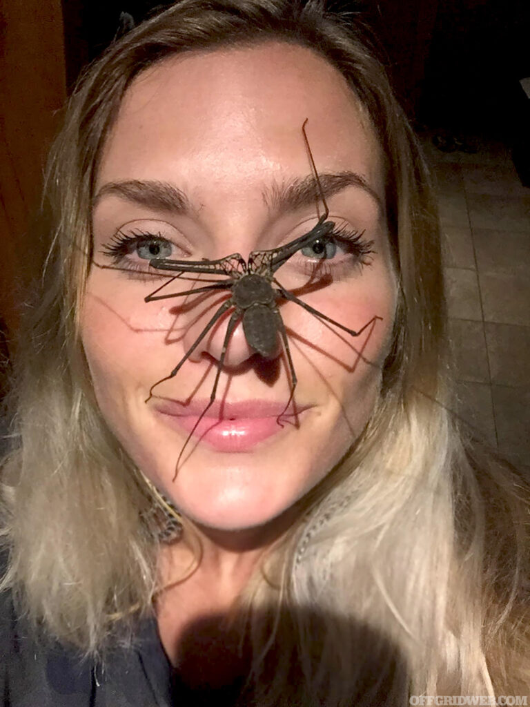 Photo de Melissa Miller souriant alors qu'un insecte géant lui grimpe au visage.