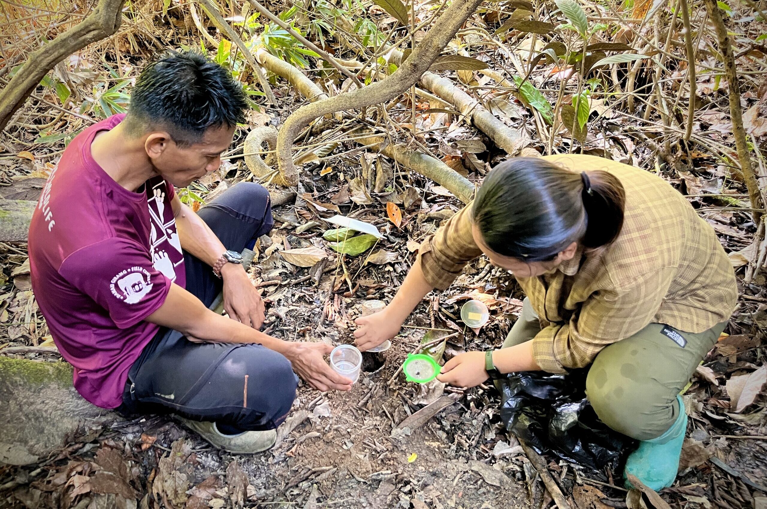 Biologistes à Bornéo