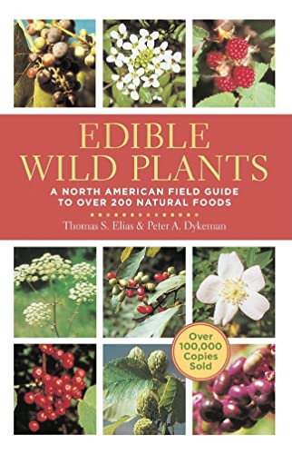 Plantes sauvages comestibles : Guide de terrain pour l'Amérique du Nord