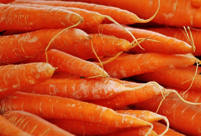 CAROTTES