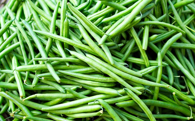 HARICOTS VERTS