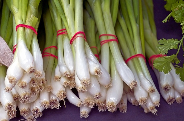 OIGNONS VERTS