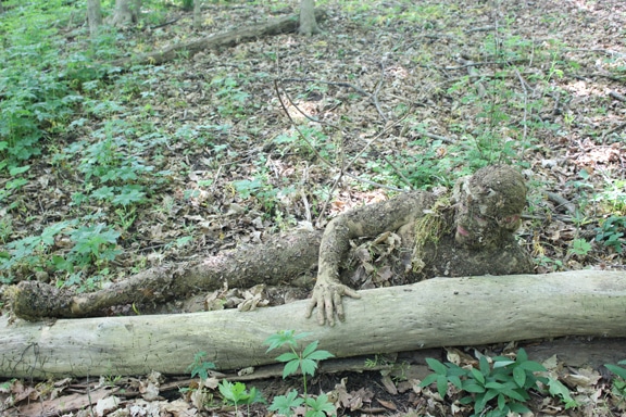Des hommes camouflés avec une bûche.