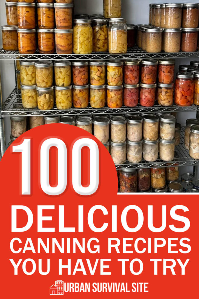 100 délicieuses recettes de mise en conserve à essayer absolument
