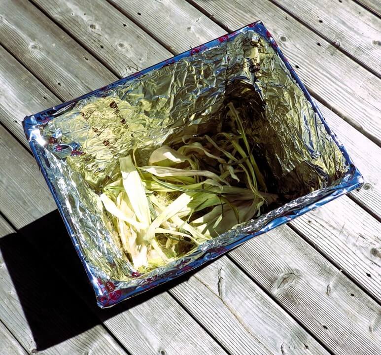 Des feuilles de maïs dans une boîte en carton