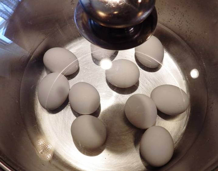 Œufs dans une casserole