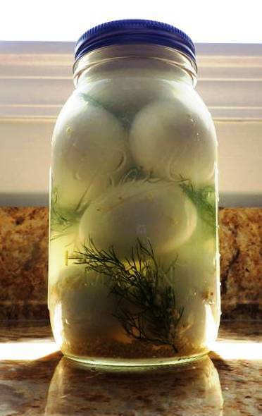 Oeufs marinés à l'aneth en bocal