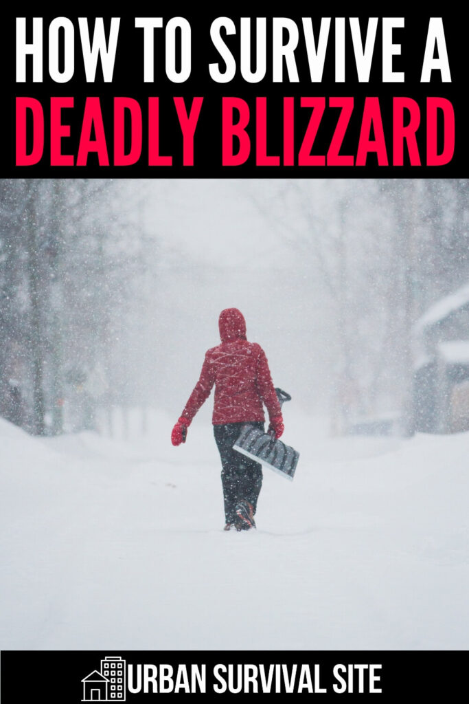Comment survivre à un blizzard meurtrier
