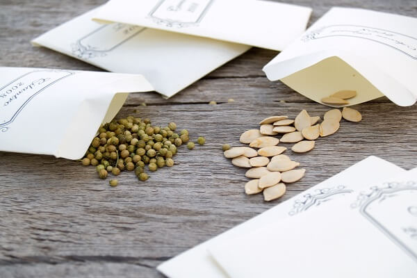 Semences en sachets