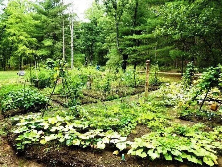 Grand jardin d'extérieur