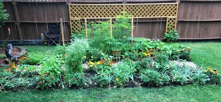 Fleurs et légumes dans le jardin