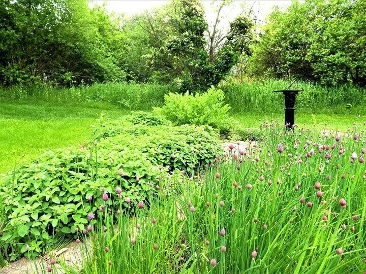 Jardin d'herbes