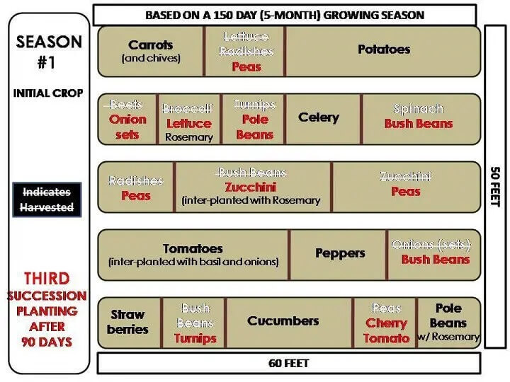 Plan de jardin