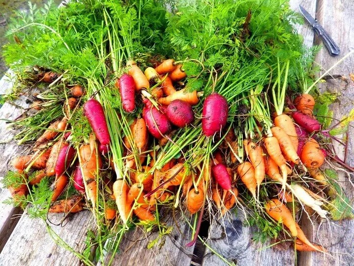 Légumes frais