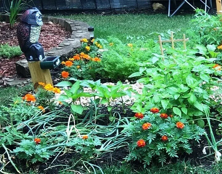 Faux hibou dans le jardin