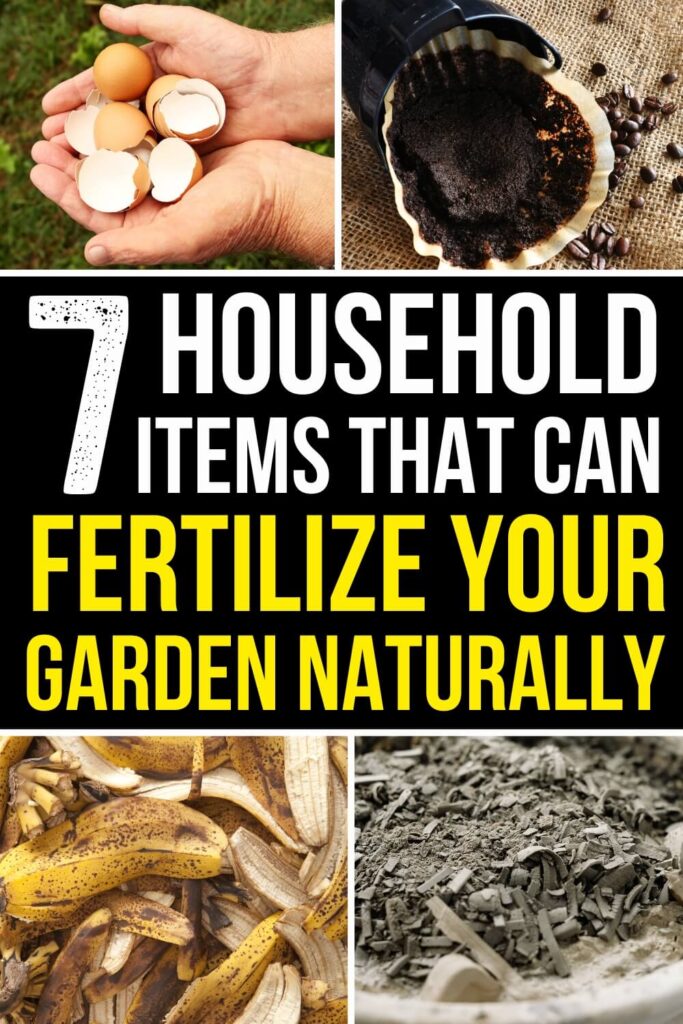  7 articles ménagers qui peuvent fertiliser votre jardin naturellement