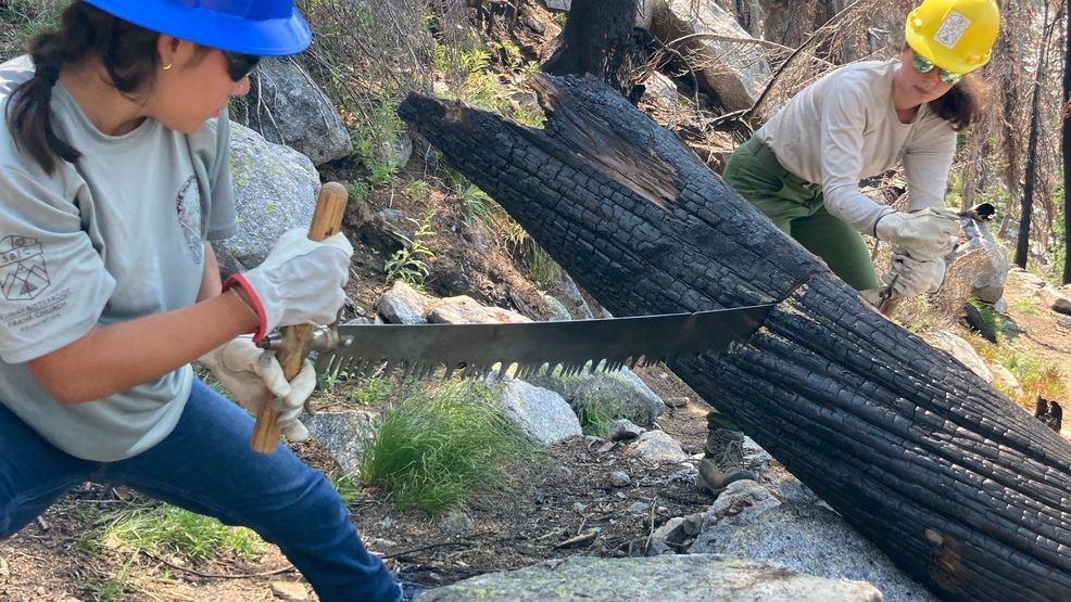 Le programme Youth Wilderness encourage la gestion responsable des forêts et l'acquisition de compétences de survie en plein air (Photo : avec l'aimable autorisation de la Fondation Selway-Bitterroot Frank Church)