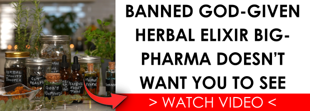  Comment préparer des teintures pour une conservation à long terme – Survivopedia