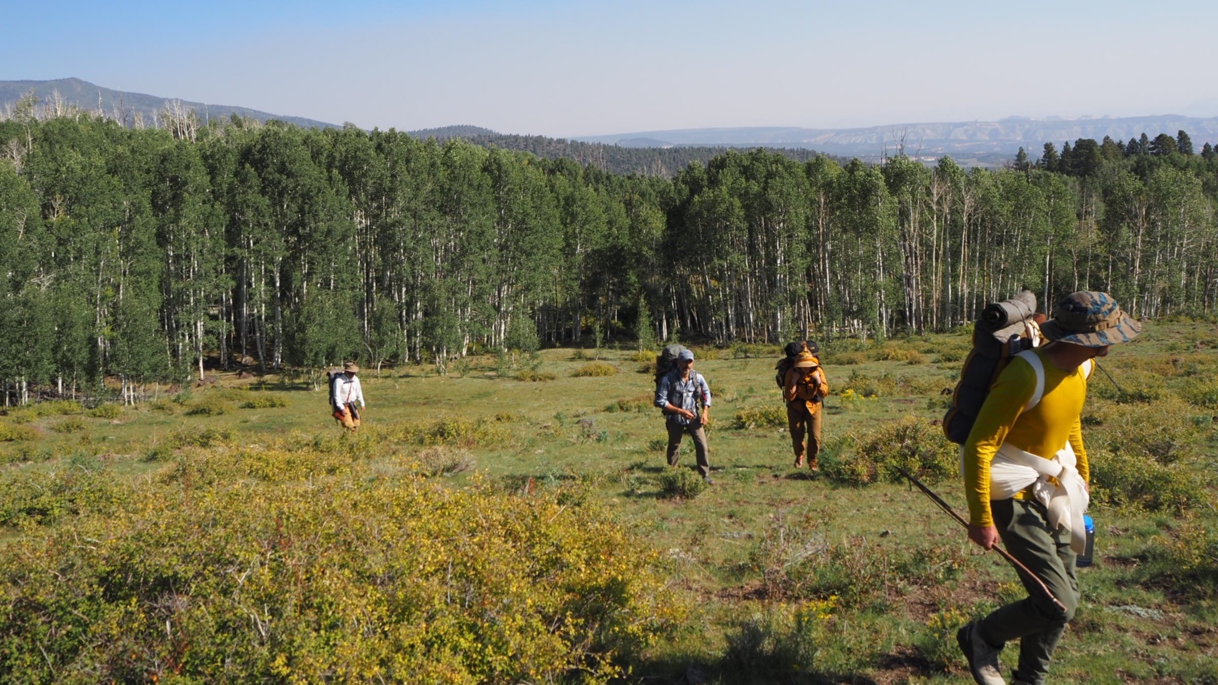 Un groupe en randonnée dans la nature sauvage