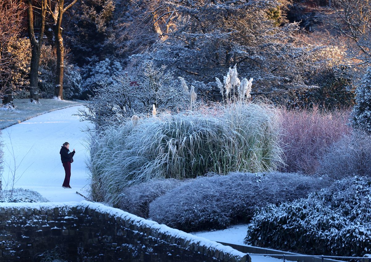 Il fait peut-être froid dehors, mais s'habiller chaudement et sortir faire une promenade peut vous remonter le moral 