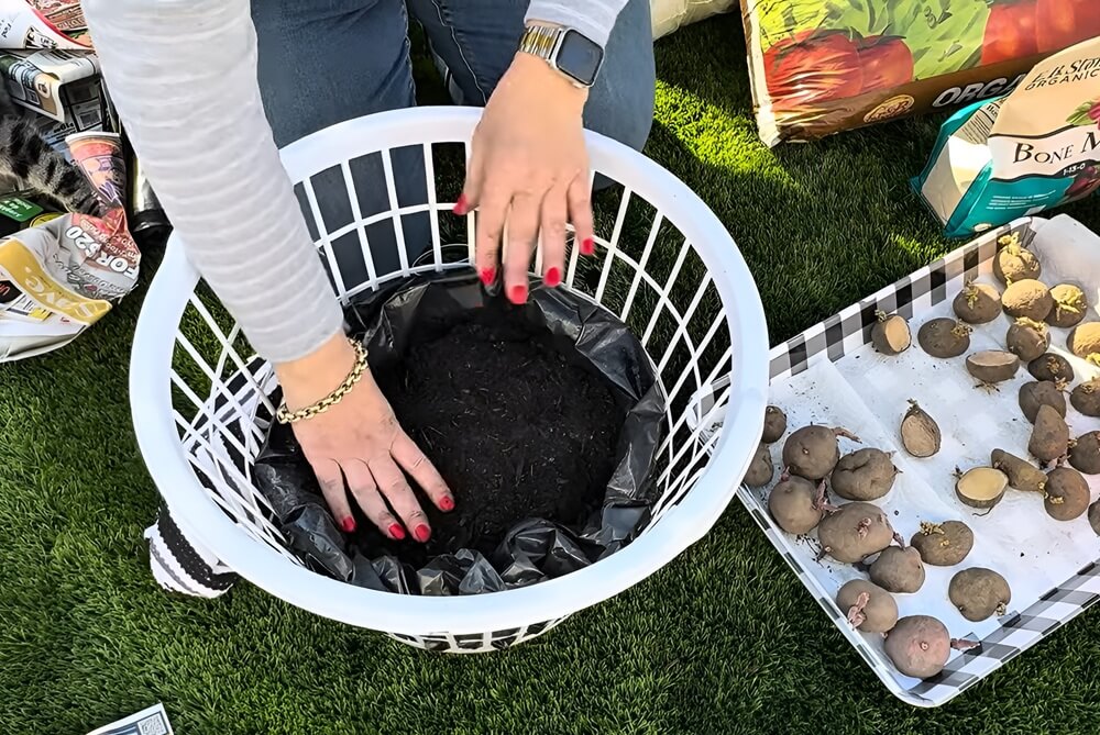 Ajouter davantage de terre