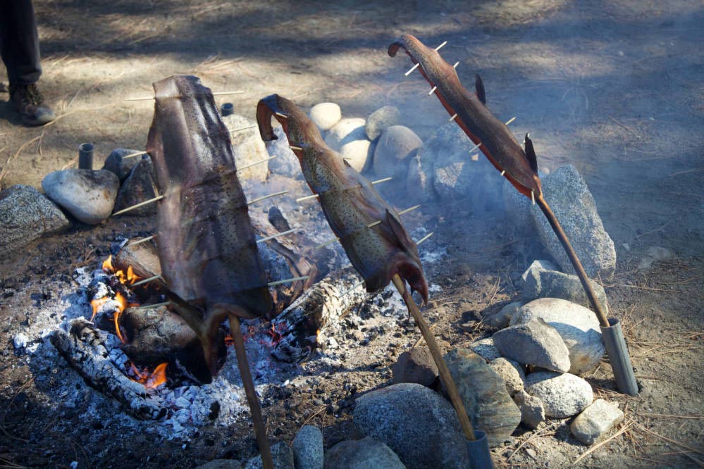 Cuisson du poisson sur un feu de camp.