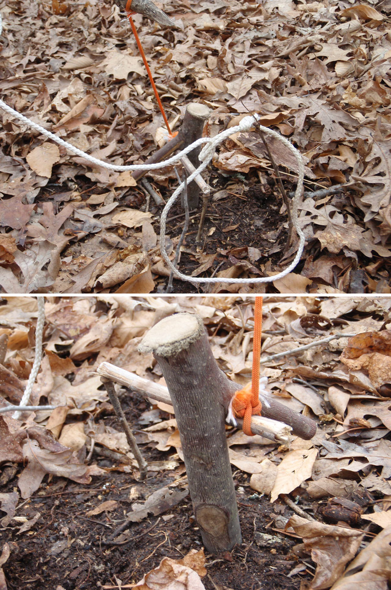 collet de survie à appât