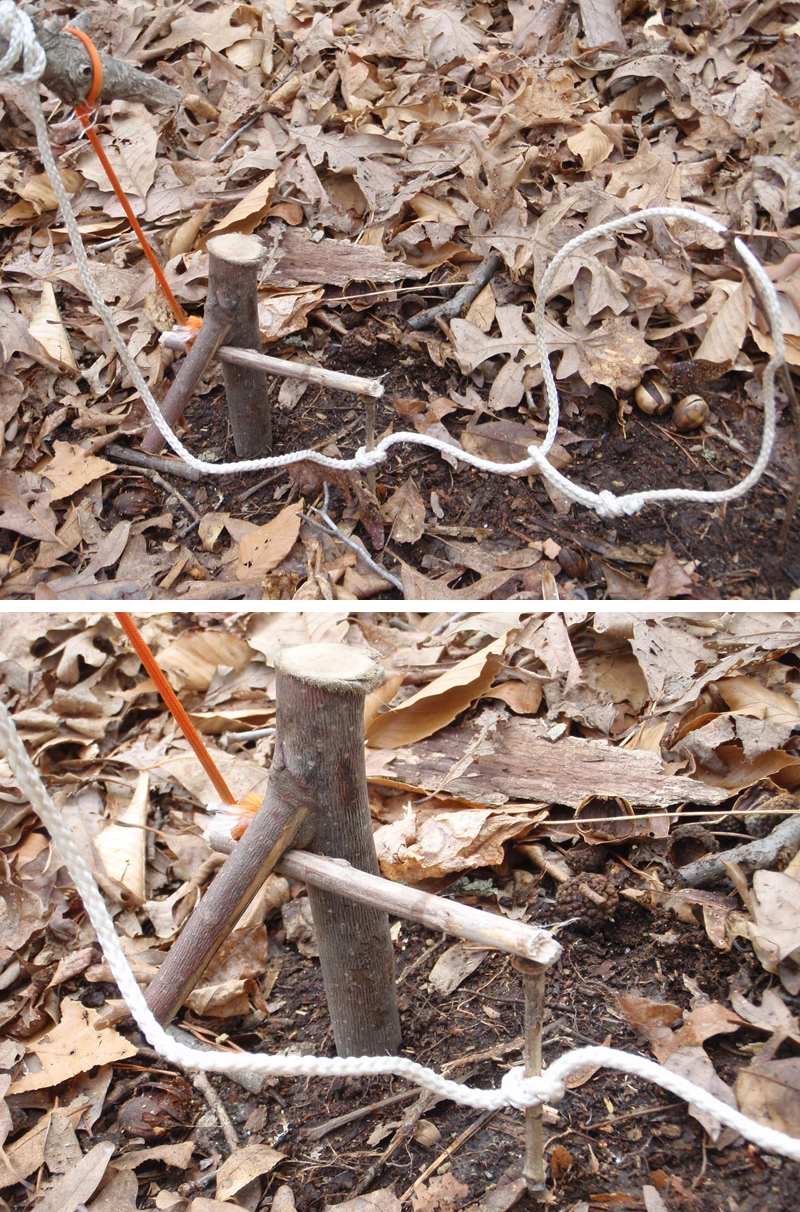 Piège à boucle de survie déclenché par le mouvement