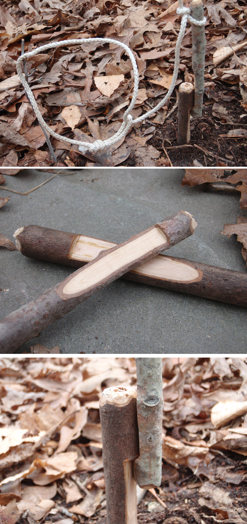 piège de survie à piquet