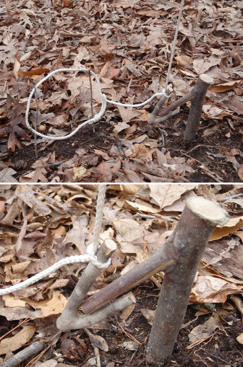 Collet roulant (piège de survie)