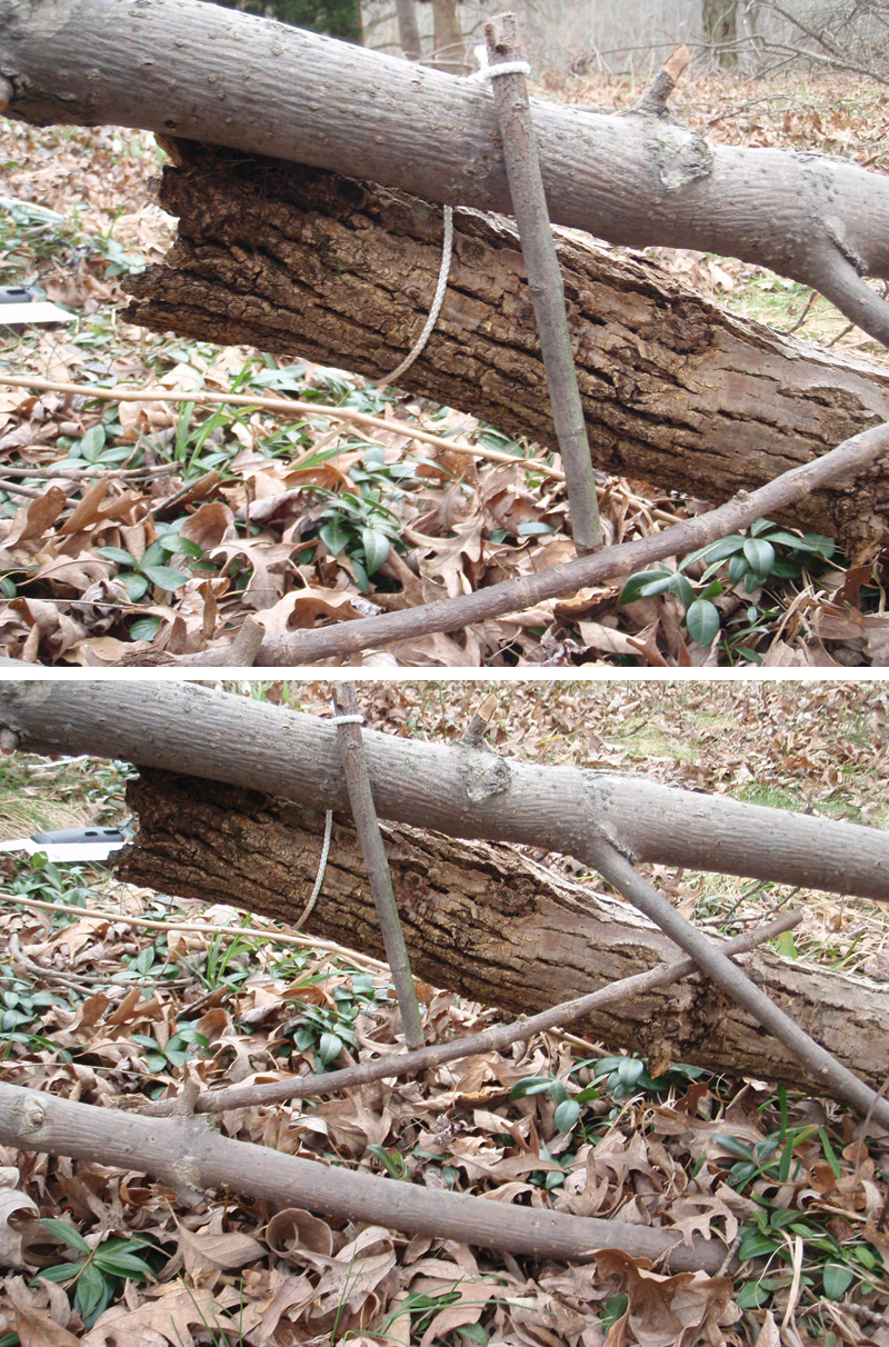 piège de survie à bascule à bascule
