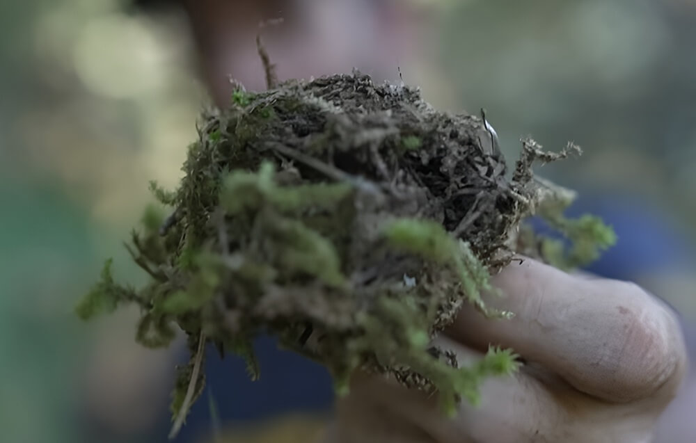 Options de papier toilette