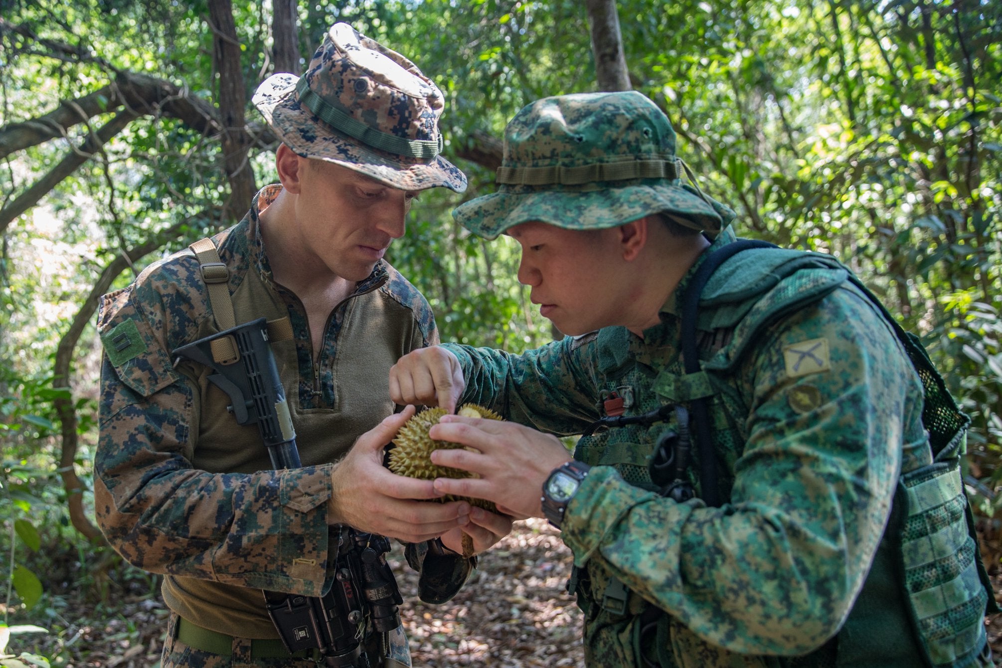  Des soldats américains ont mangé du durian et du jacquier dans le cadre d’un cours sur les « techniques de survie dans la jungle »