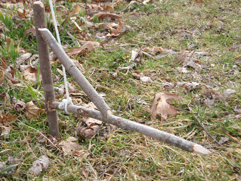  Guide des 15 meilleurs pièges de survie de tous les temps