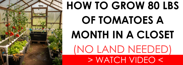  Le pouvoir des rituels quotidiens quand le monde semble instable – Survivopedia