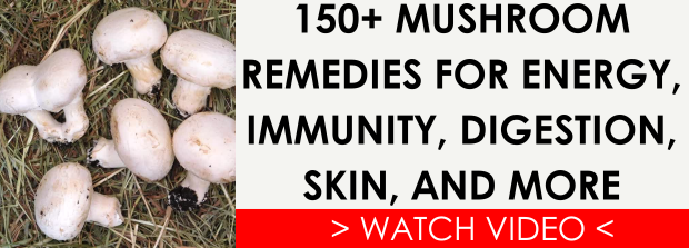  Remèdes à base de plantes contre le stress et pour le sommeil quand le monde semble pesant – Survivopedia