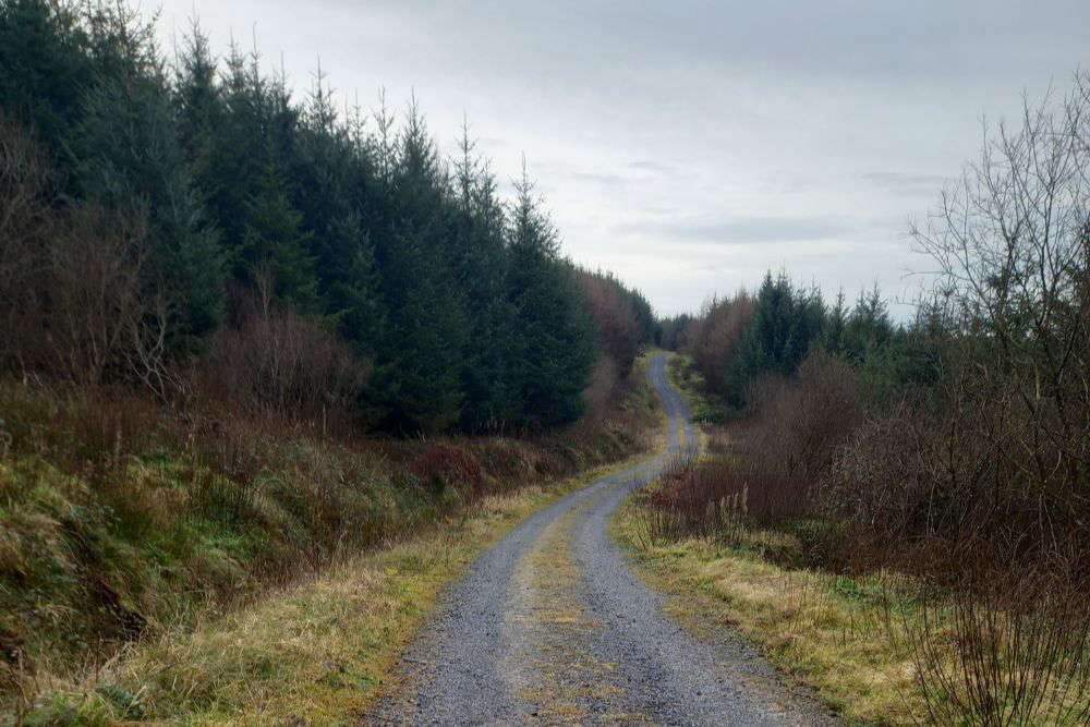  Un habitant des Midlands met à profit ses compétences en survie pour secourir des adolescents portés disparus