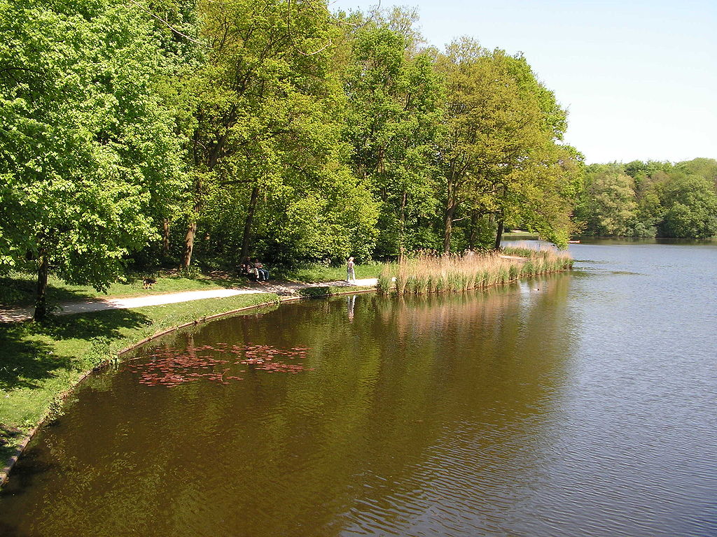 femme-se-promenant-au-bord-du-lac-haagse-bos-forêt-pays-bas