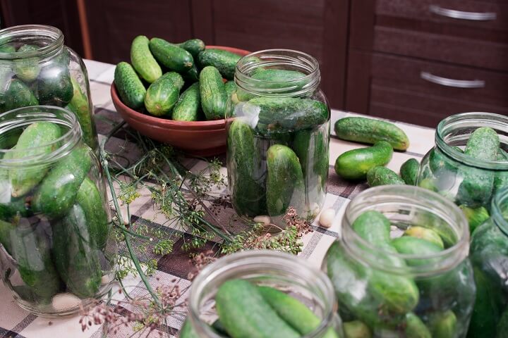 Transformer des concombres frais en cornichons