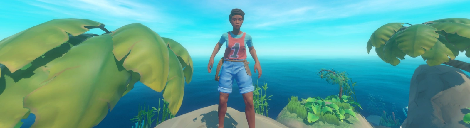 Raft - couverture de jeu