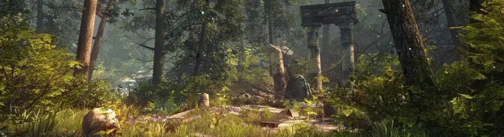 The Forest - couverture de jeu