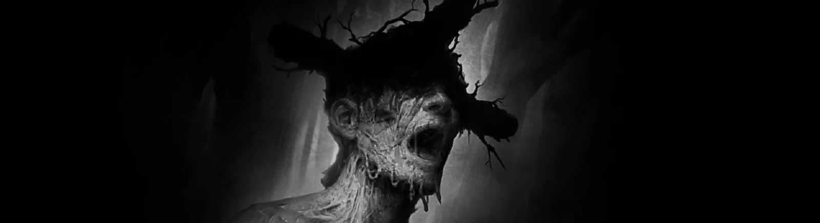 Darkwood - couverture de jeu