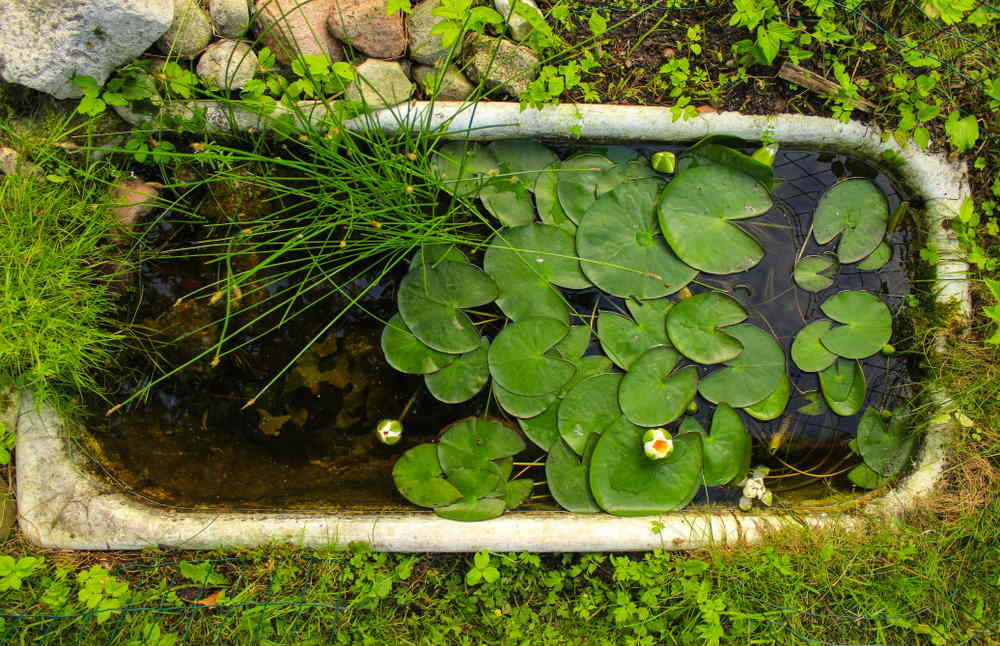 mini-bassin enterré